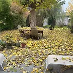 Homestay szállás Petit Cocon Lillois:cheminee & Jardin *