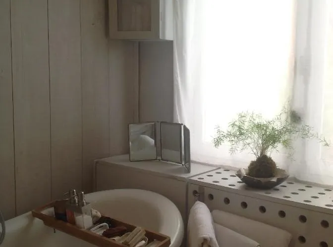 Séjour chez l'habitant Petit Cocon Lillois:cheminée&jardin *