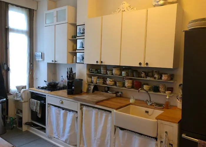 Petit Cocon Lillois:cheminée&jardin Séjour chez l'habitant Lille