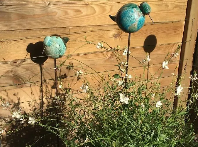 Séjour chez l'habitant Petit Cocon Lillois:cheminée&jardin