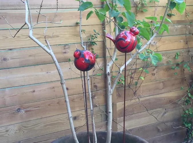 Séjour chez l'habitant Petit Cocon Lillois:cheminée&jardin *