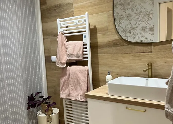 Petit Cocon Lillois:cheminée&jardin *