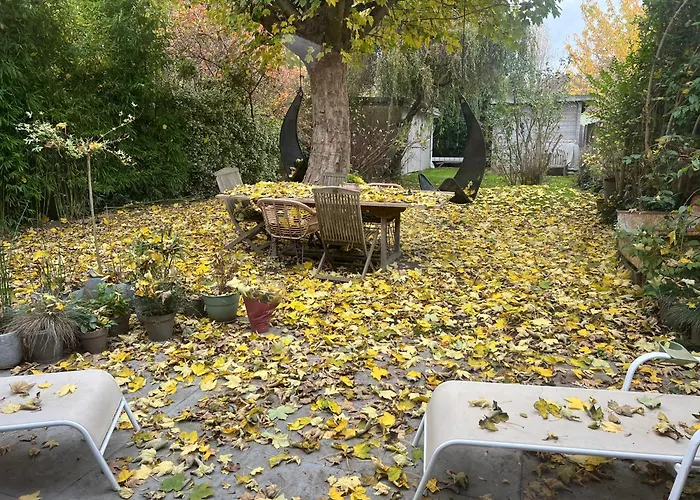 Séjour chez l'habitant Petit Cocon Lillois:cheminée&jardin *