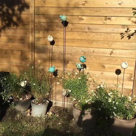 Petit Cocon Lillois:cheminee & Jardin Проживание в семье