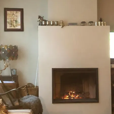 Petit Cocon Lillois:cheminee & Jardin Lille