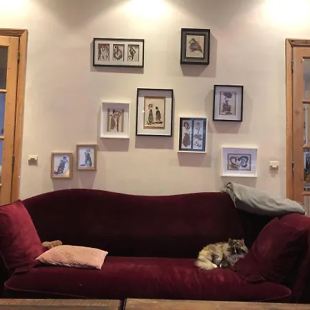 Petit Cocon Lillois:cheminee & Jardin Проживание в семье