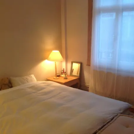 Homestay Petit Cocon Lillois:cheminee & Jardin