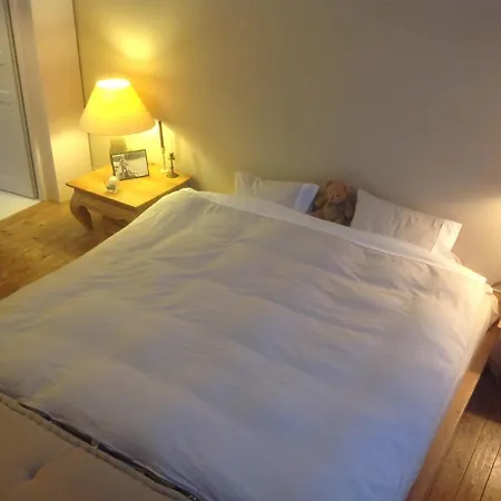 Petit Cocon Lillois:cheminee & Jardin * Лилль