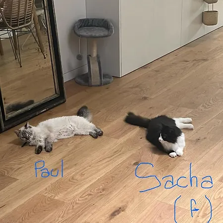 Petit Cocon Lillois:cheminee & Jardin Ubytování v soukromí *