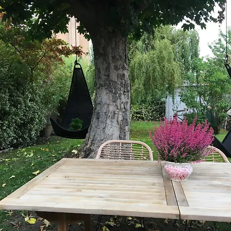 Petit Cocon Lillois:cheminée&jardin * Lila