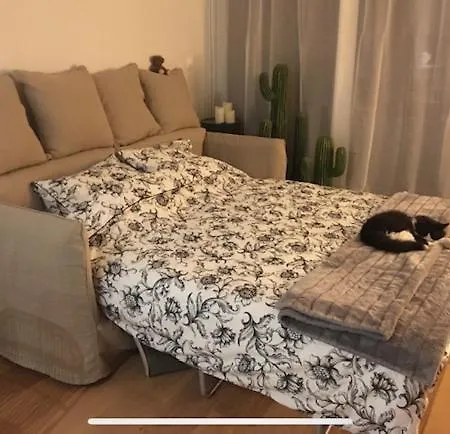 Petit Cocon Lillois:cheminee & Jardin *