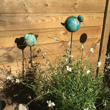 Rum i privatbostad Petit Cocon Lillois:cheminee & Jardin