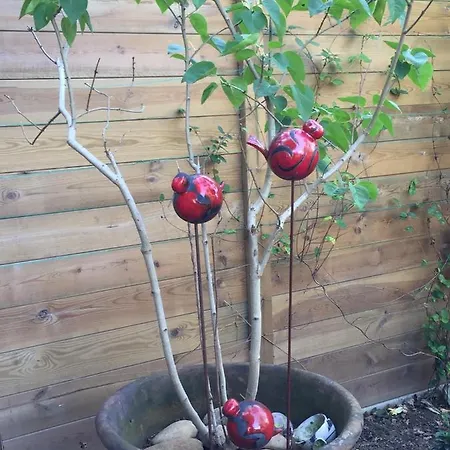 Rum i privatbostad Petit Cocon Lillois:cheminee & Jardin *